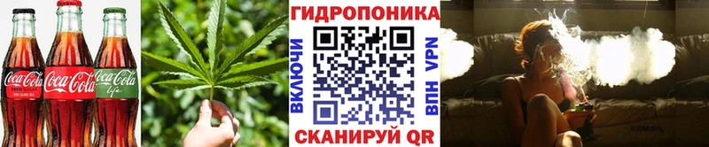 Canna-Cookies марихуана цены Снежногорск