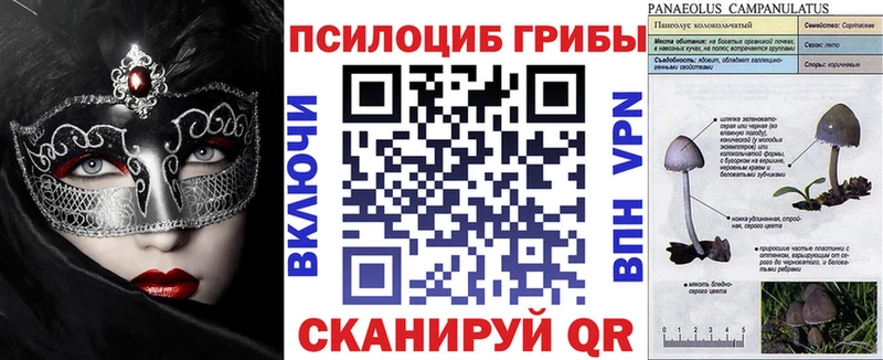Галлюциногенные грибы Cubensis  Снежногорск 